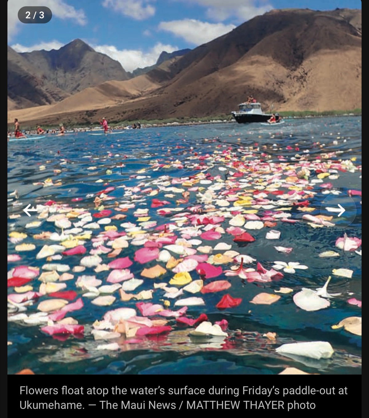 Lahaina memorial paddle-out — flowers floating on the water (The Maui News / Matthew Thayer)